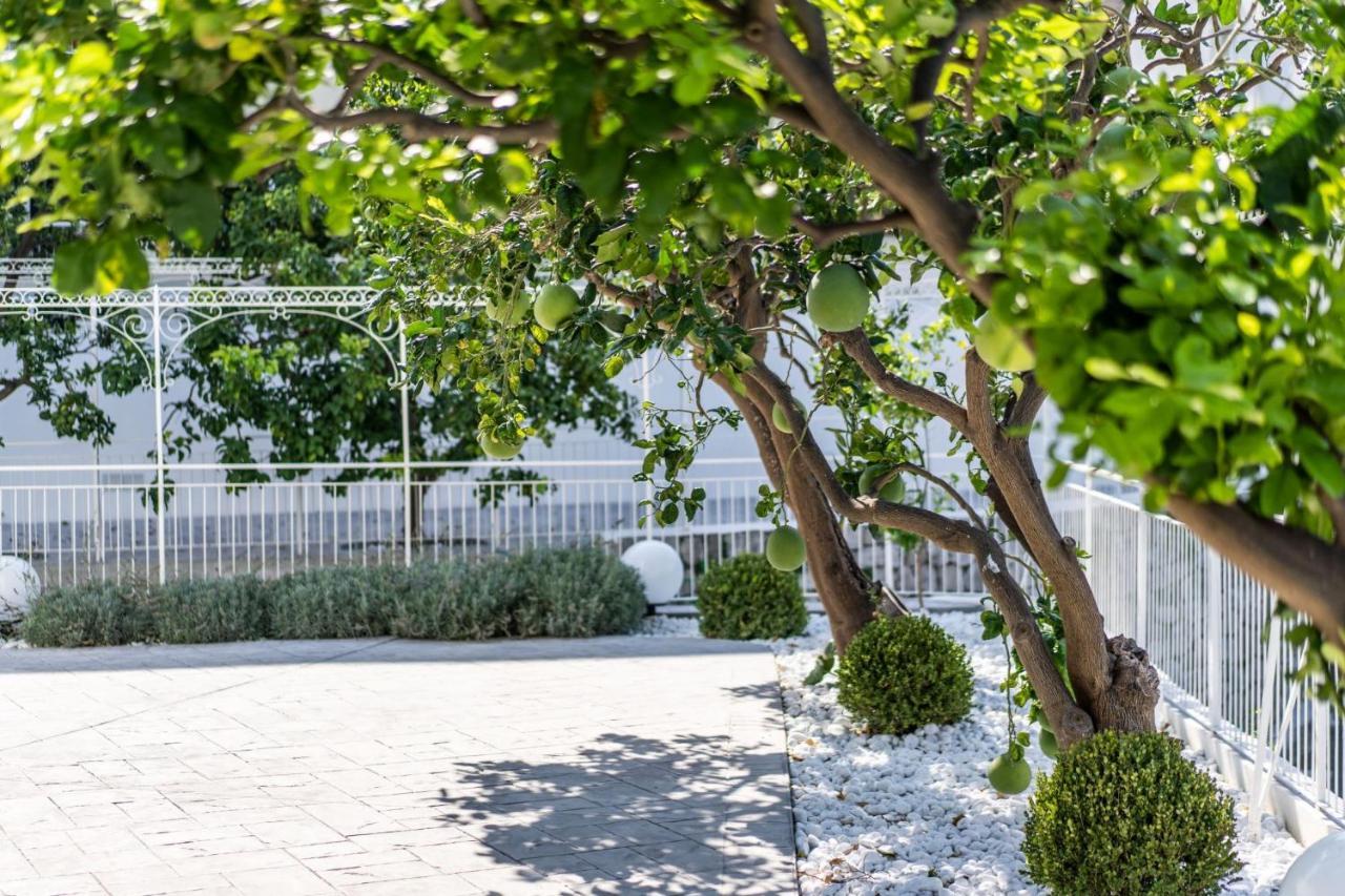 Villa La Pagaia Sorrento Coast Vico Equense Exteriör bild